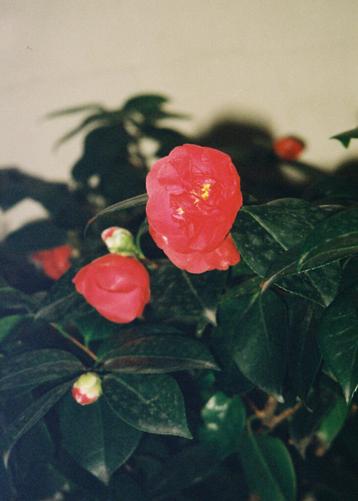 Editorial_by Lara Ohl_37